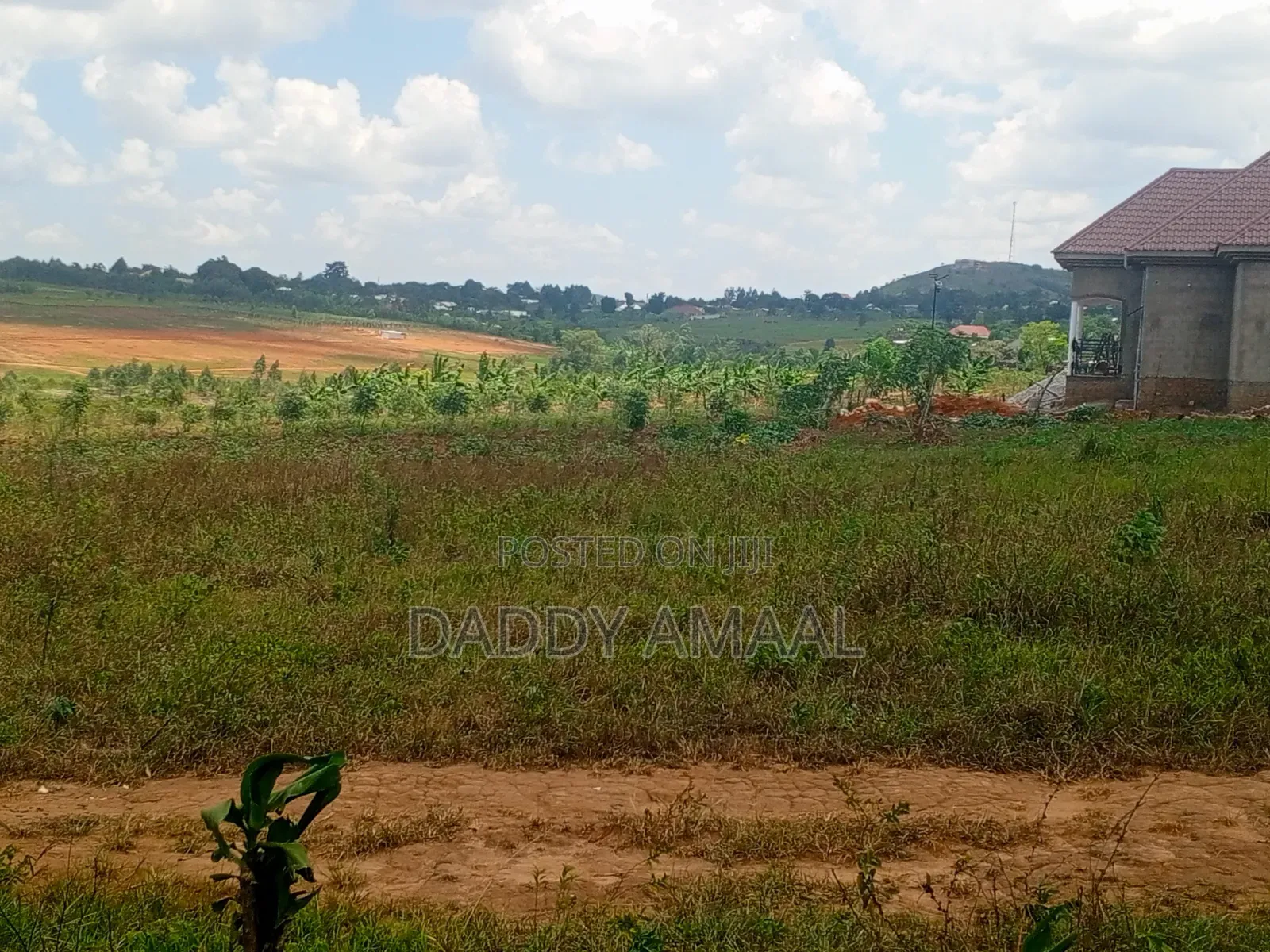 Titled Plots in Nampunge