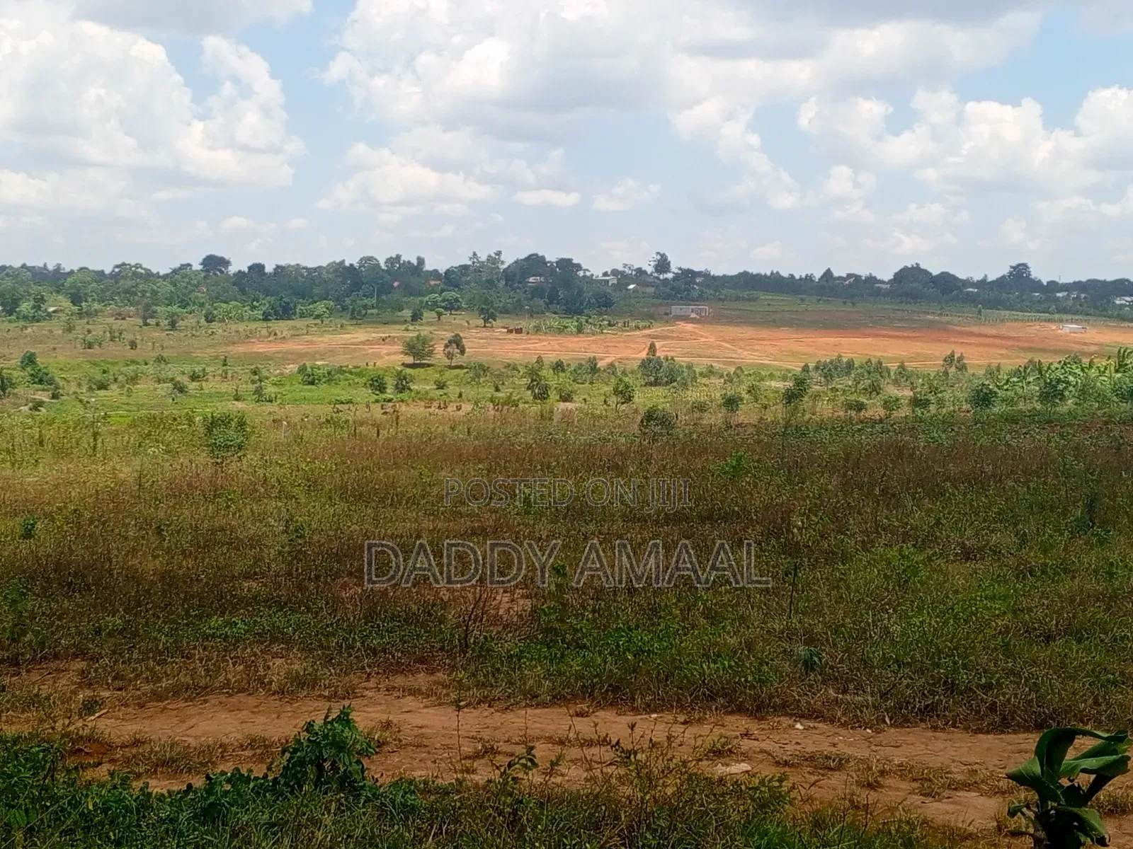 Titled Plots in Nampunge