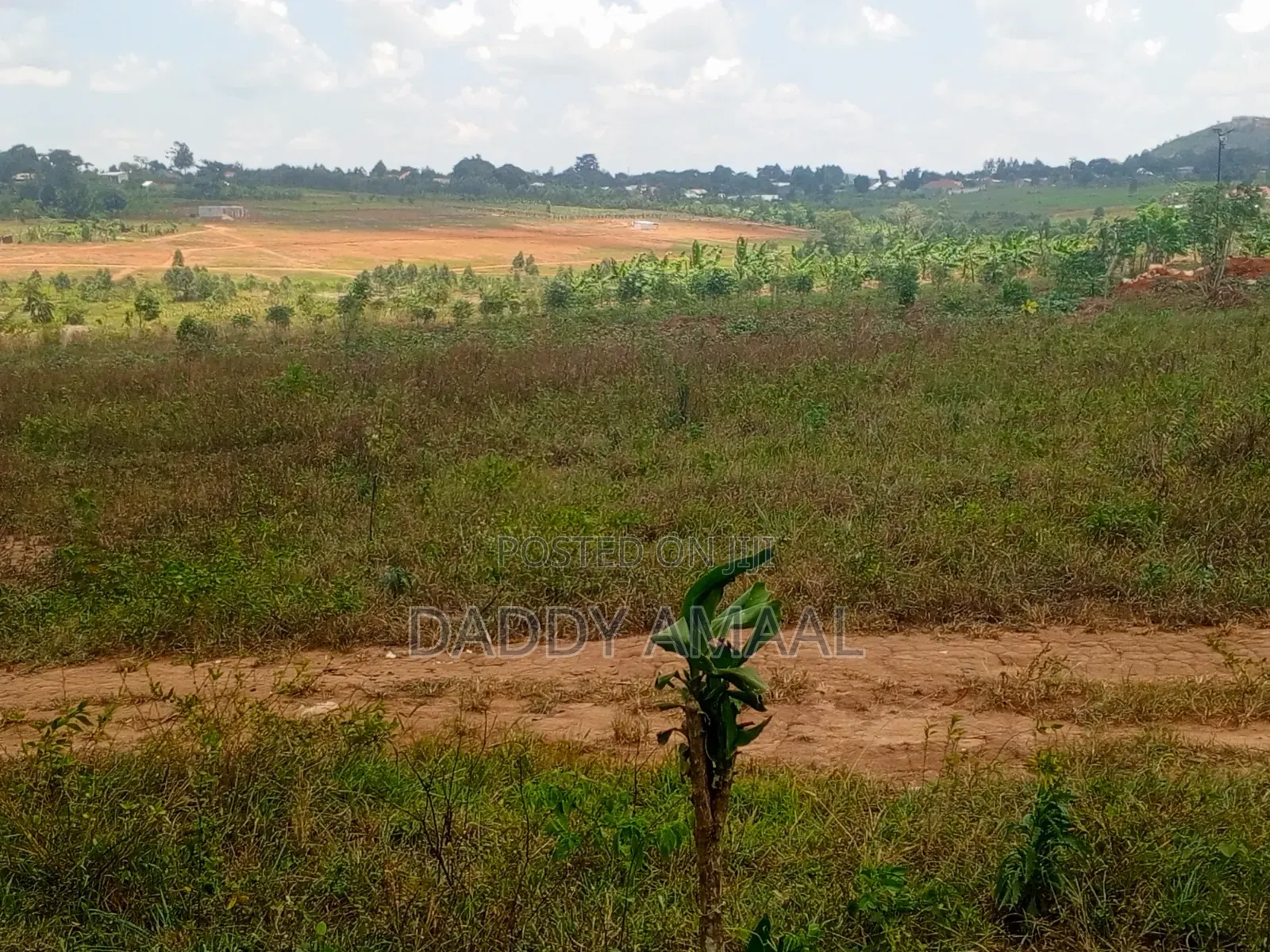 Titled Plots in Nampunge