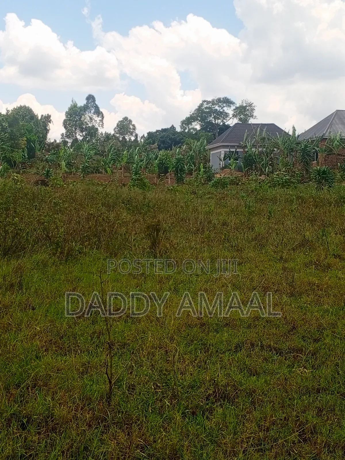 Titled Plots in Nampunge