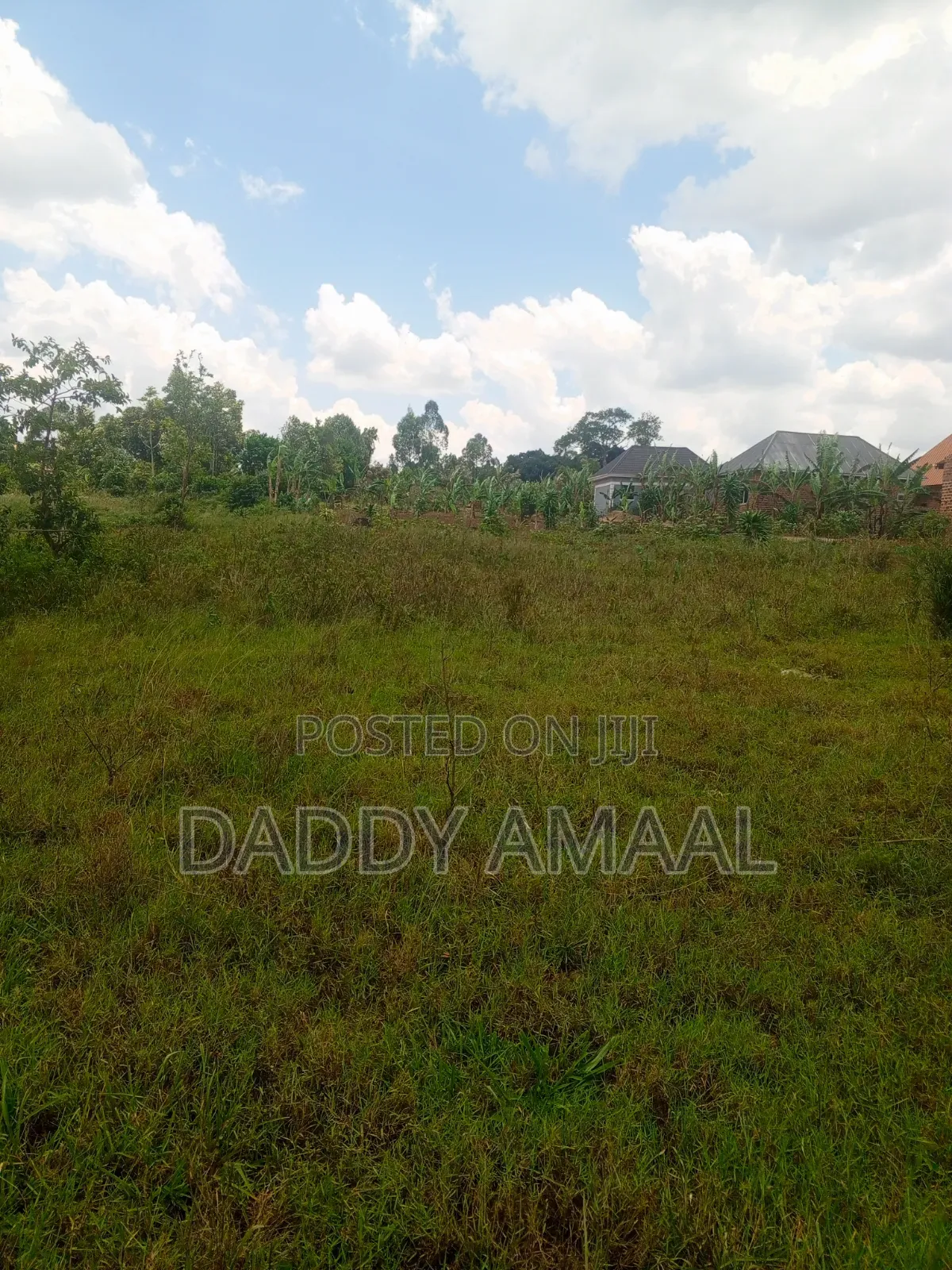 Titled Plots in Nampunge