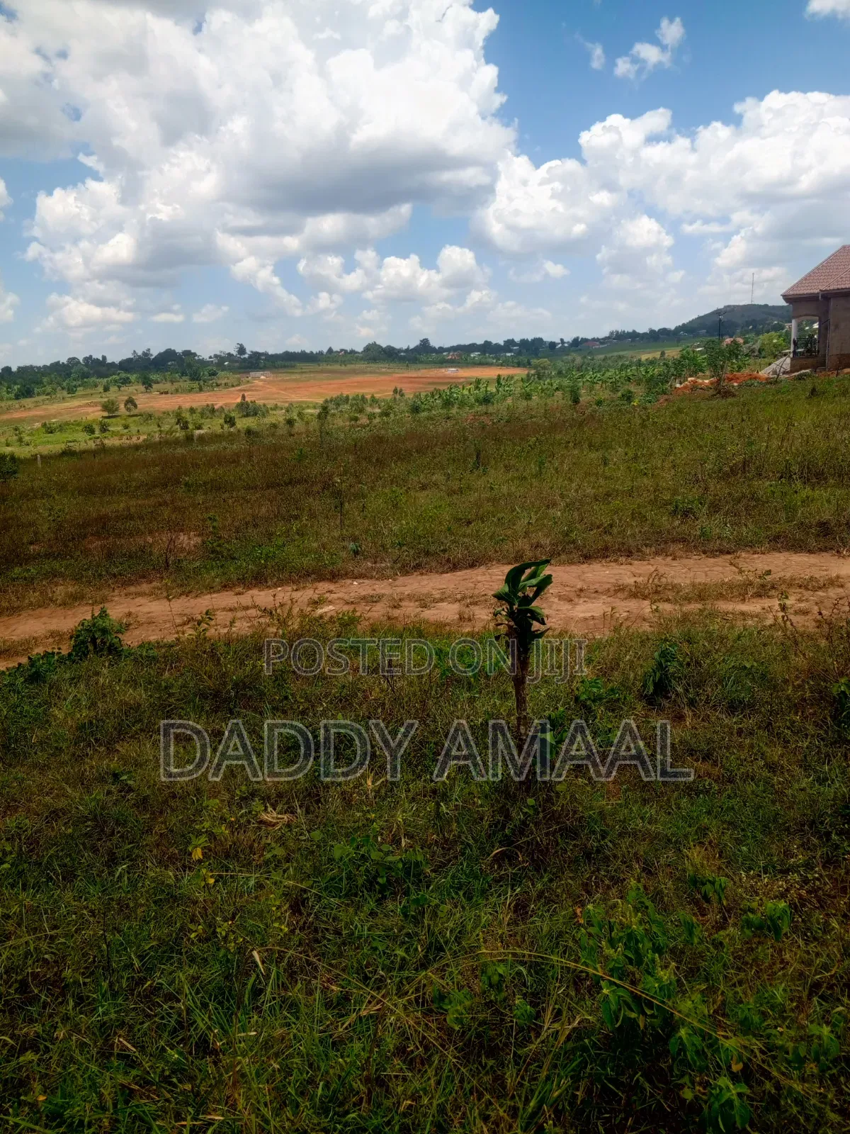 Titled Plots in Nampunge
