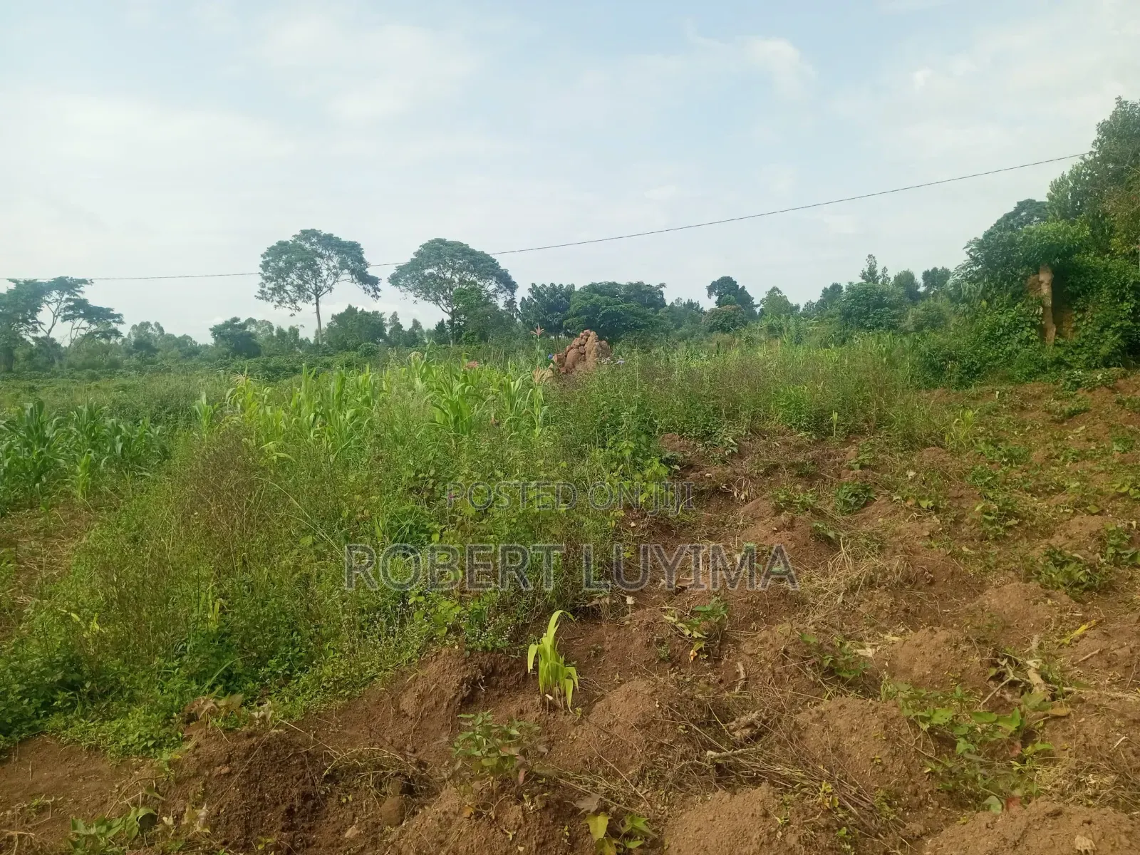 Land for Sale in Kasanje Bubebbere (Bulumbu Cell)