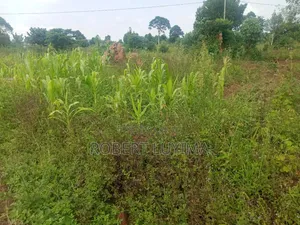 Land for Sale in Kasanje Bubebbere (Bulumbu Cell)