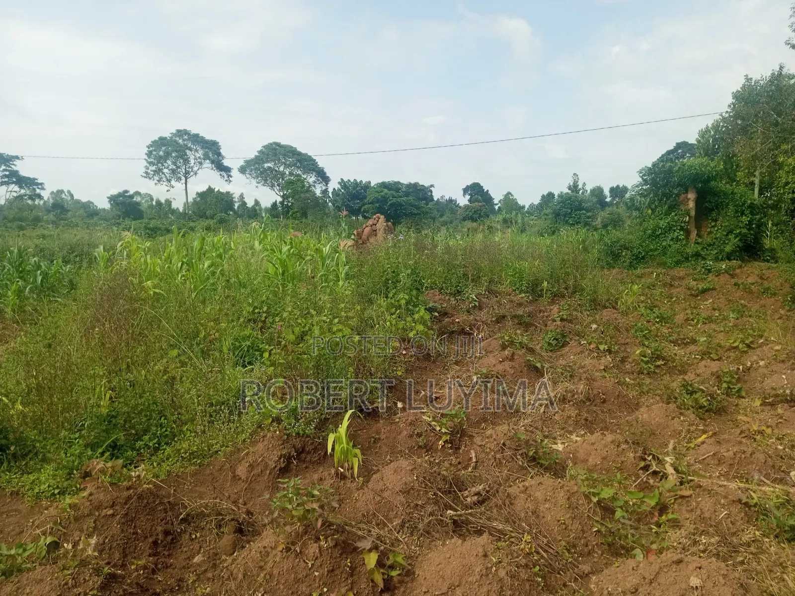 Land for Sale in Kasanje Bubebbere (Bulumbu Cell)