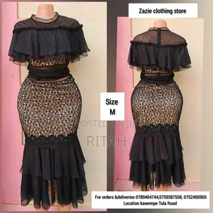 Elegant Black Lace & Mesh Ladies Dress