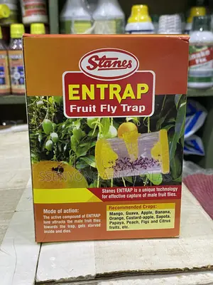 Entrap Fruit Fly Trap