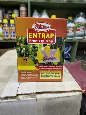 Entrap Fruit Fly Trap