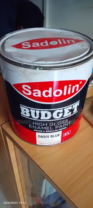Budget High Gloss Enamel Paint 4liters