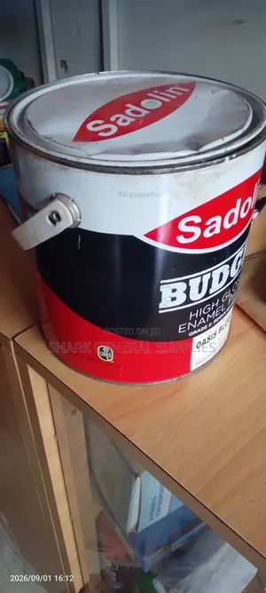 Budget High Gloss Enamel Paint 4liters