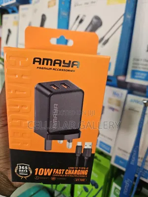 Amaya 10W Fast Charging Type-C Charger With Dual Outputs