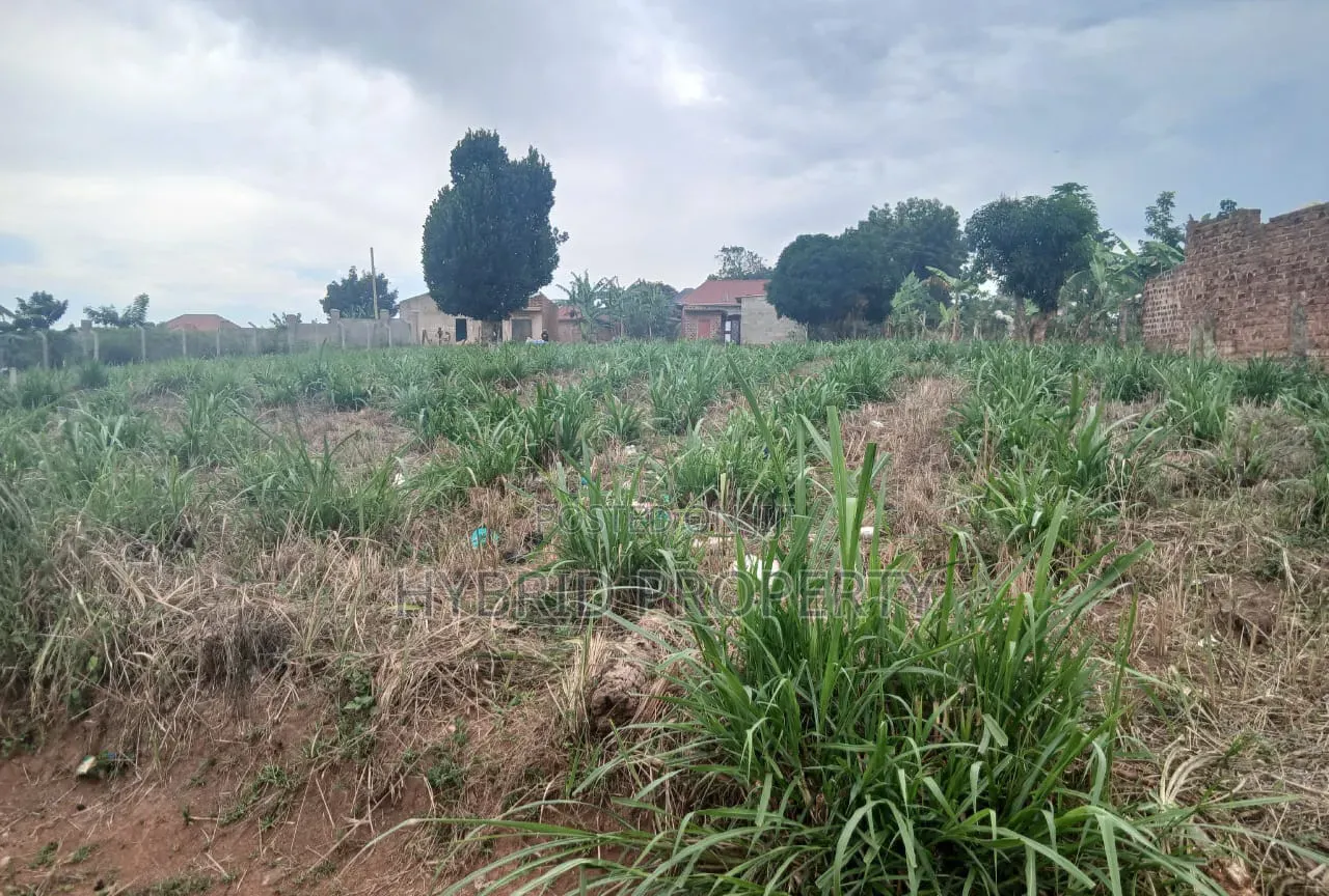 64 Decimals of Prime Land for Sale at Namusera~Kakunyu Along Hoima Rd.