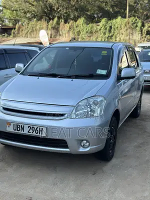 Toyota Raum 2008 Silver