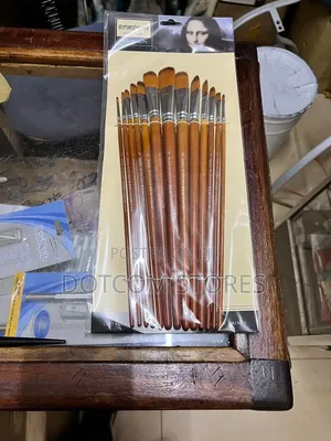 13pcs Bomeijia Artist Paint Brushes With Long Wooden Handles.
