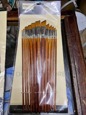 Bomeijia Set of 13 Angular Artist Paint Brushes
