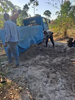 Plaster Sand for Sale