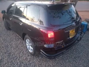 Toyota Corolla Fielder 2010 Black