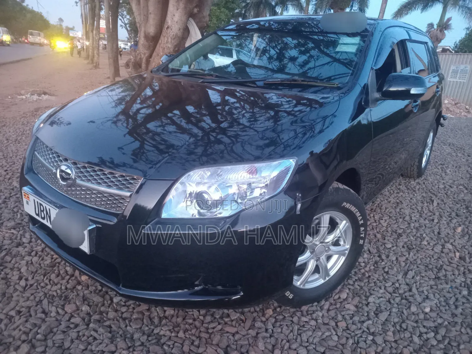 Toyota Corolla Fielder 2010 Black