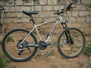 Raleigh Size 26