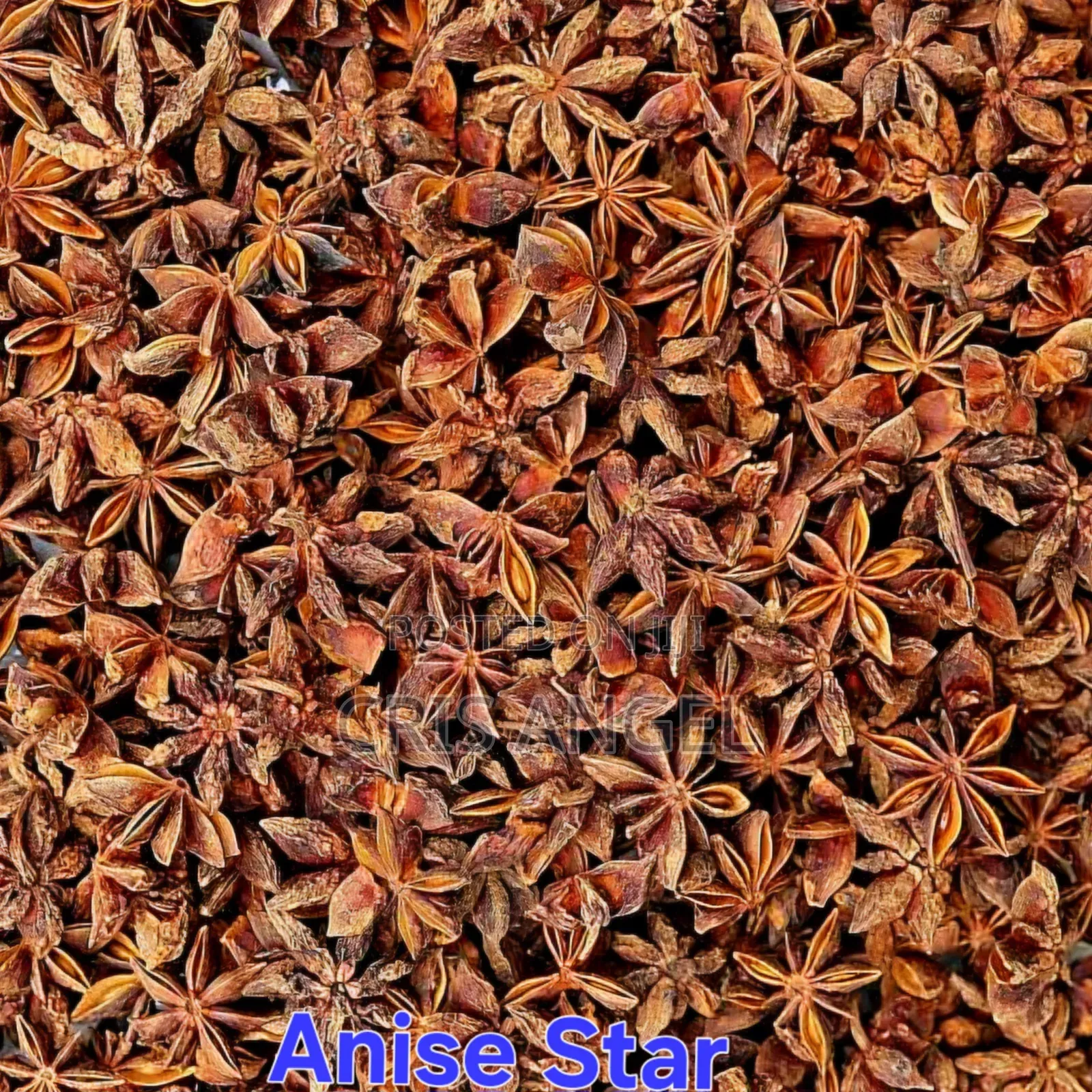 Star Anise Dried