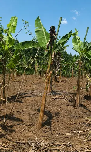 Land for Sale Kakiri Kikuji/Kigayaza Area