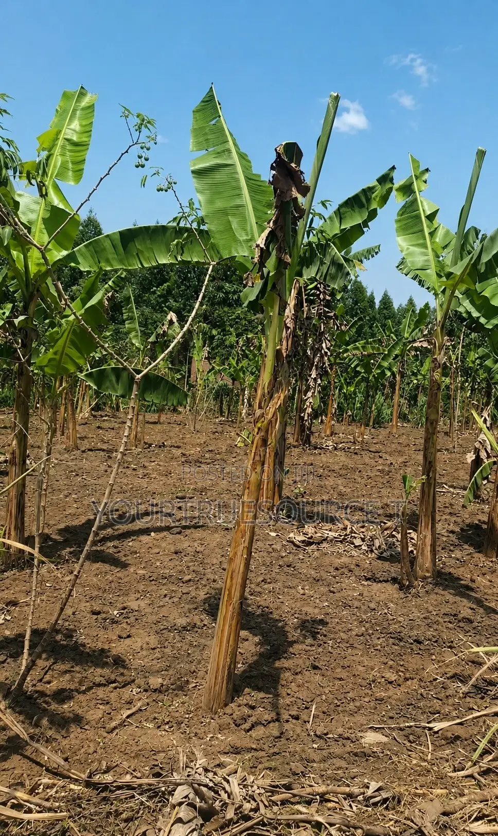 Land for Sale Kakiri Kikuji/Kigayaza Area