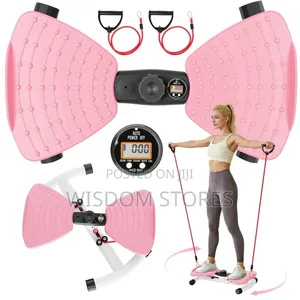 Adjustable Waist Twister Exercise Machine