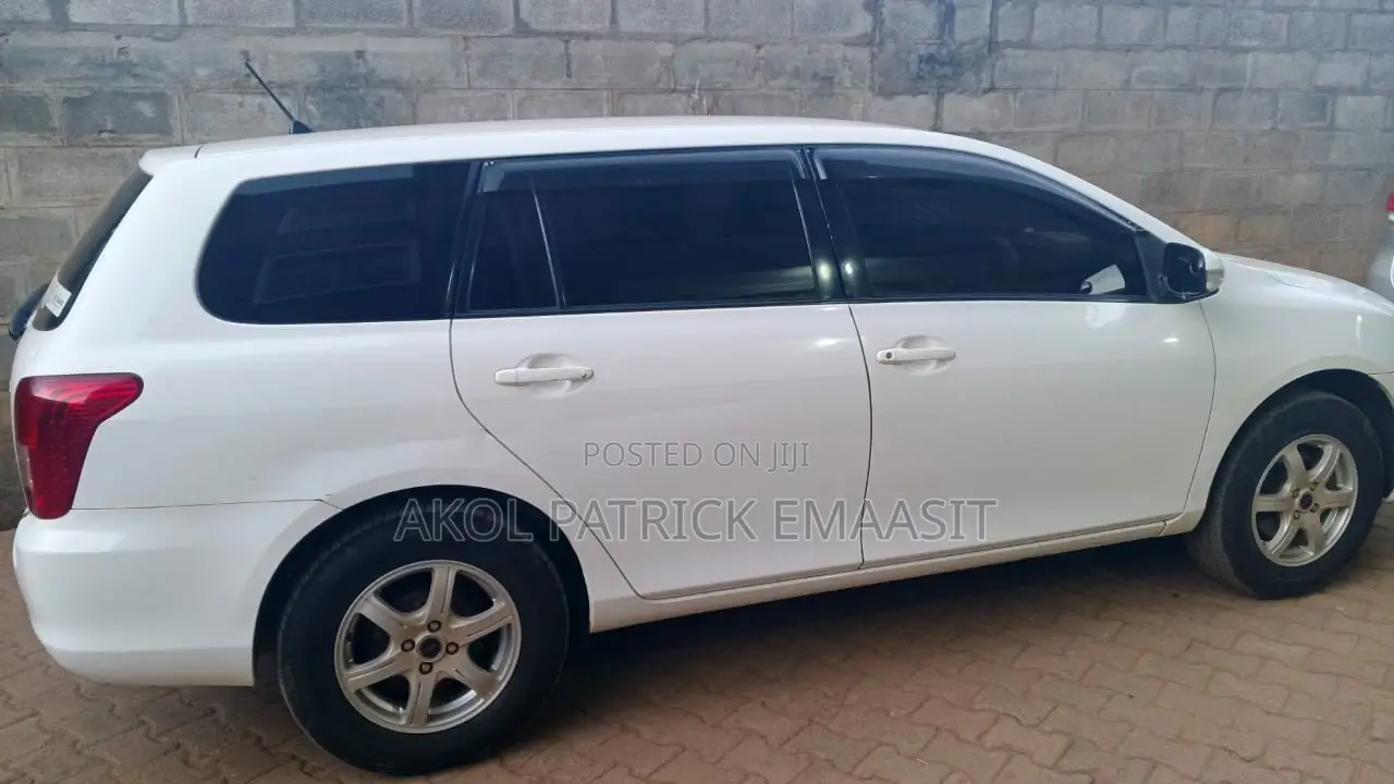 Toyota Corolla Fielder 2008 Pearl