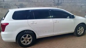 Toyota Corolla Fielder 2008 Pearl