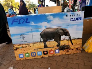 65-Inch FOL Smart Android TV VGA