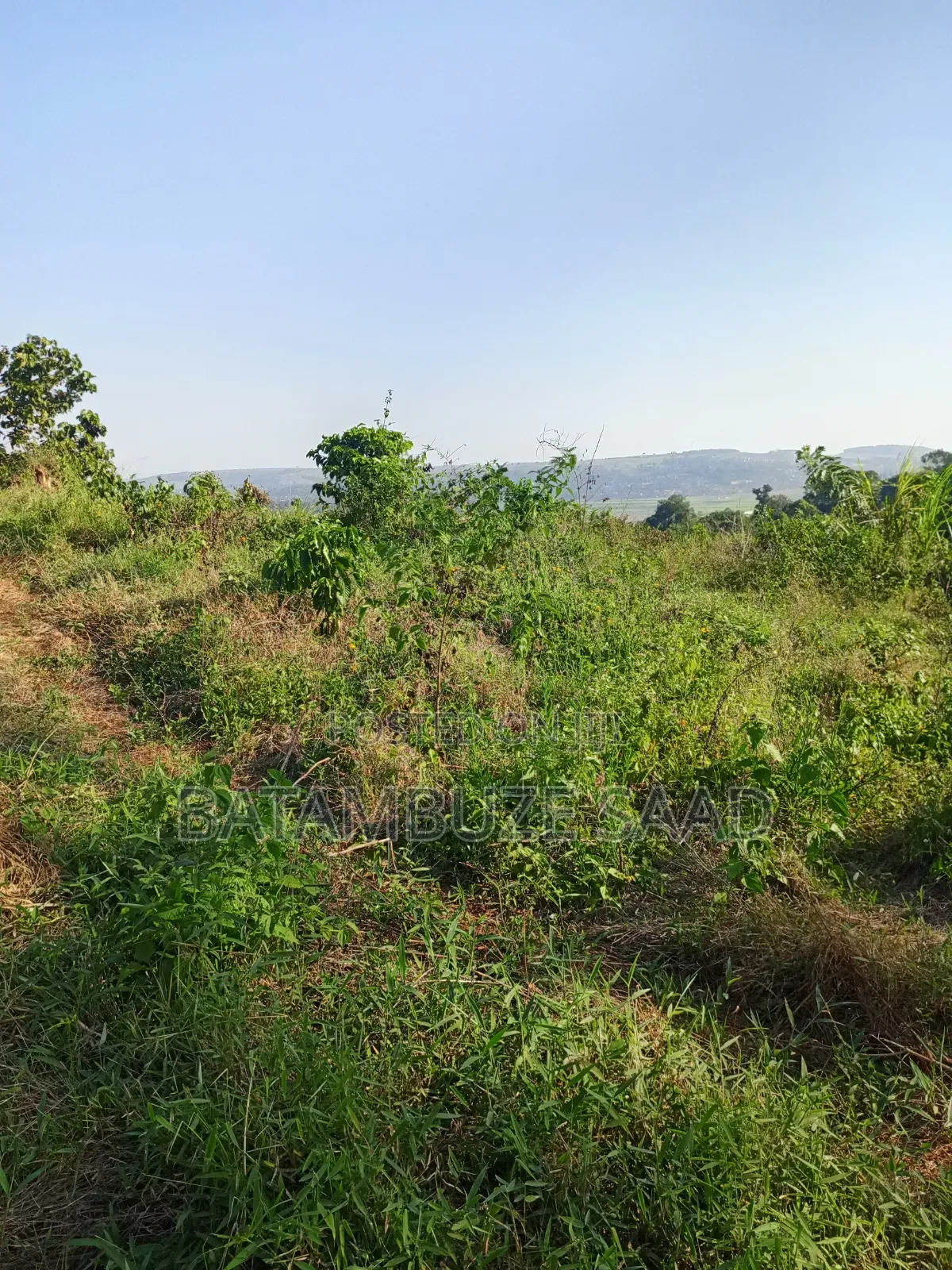 20 Acres for Sale