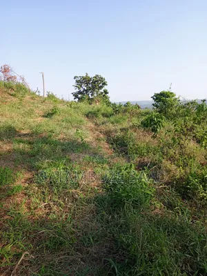 20 Acres for Sale