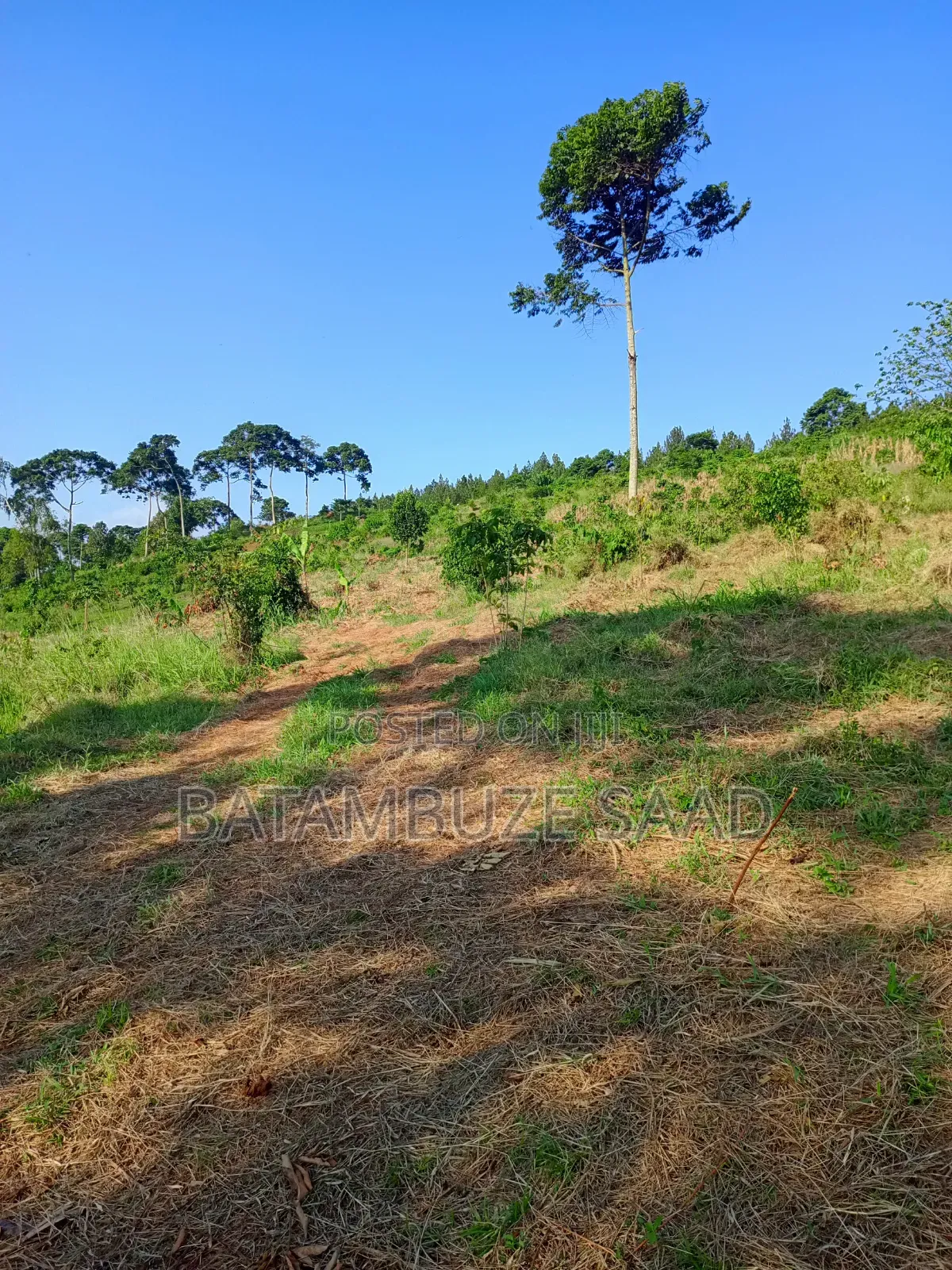 20 Acres for Sale