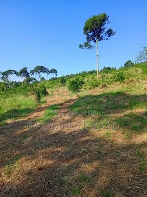 20 Acres for Sale