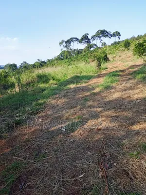 20 Acres for Sale