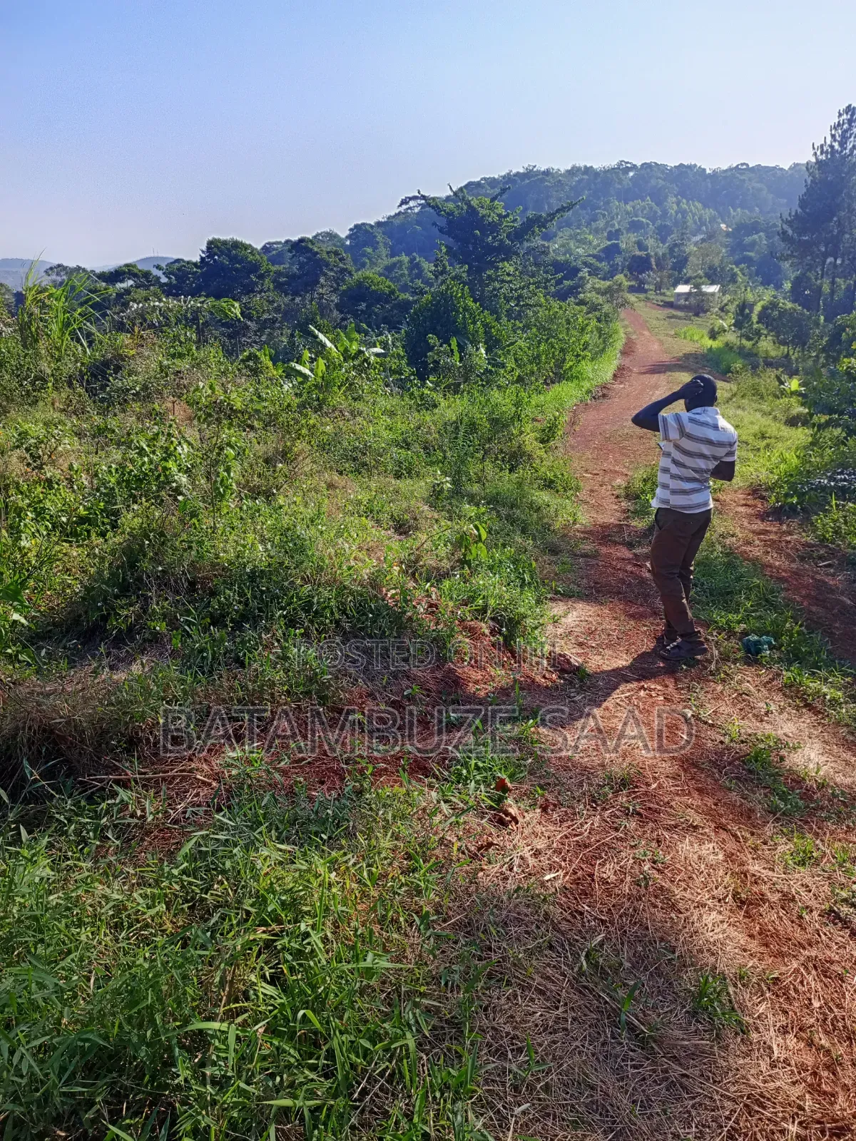 20 Acres for Sale