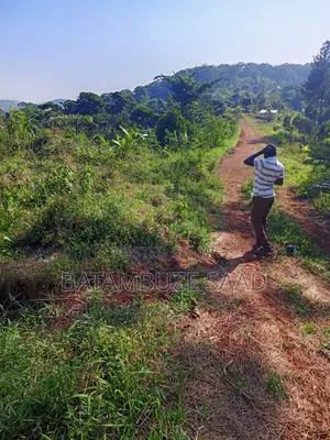 20 Acres for Sale
