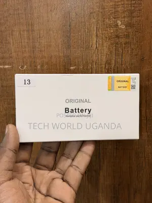 iPhone 13 Battery