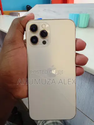 Apple iPhone 12 Pro Max 256 GB Bronze