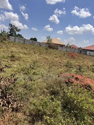 Land 50/100ft