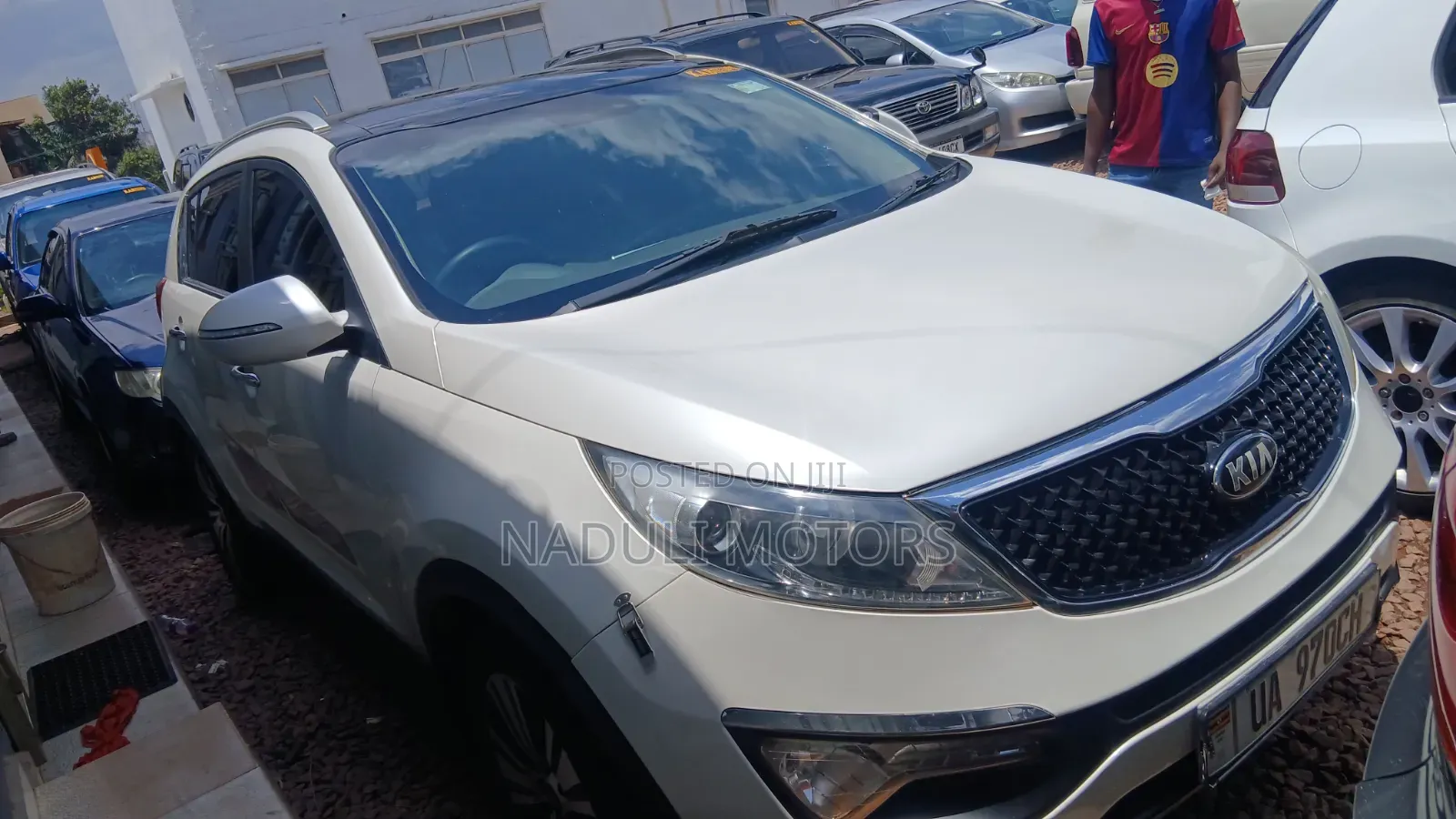 Kia Sportage 2015 White