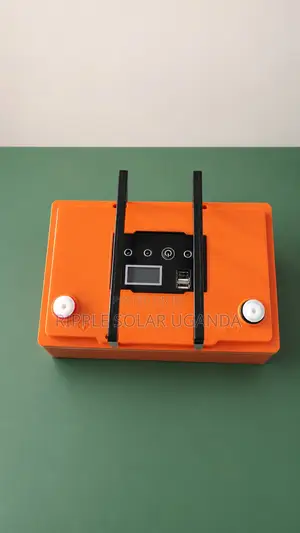 70Ah 12V LiFePO4 Solar Battery 896Wh With USB & DC Output