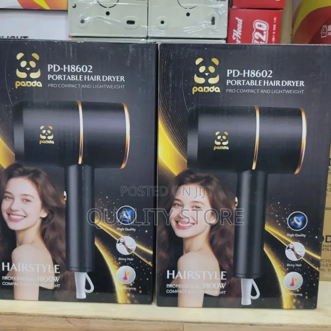 Portable Hair Dryer Panda