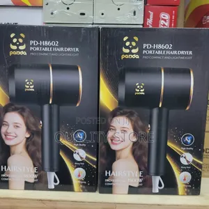 Portable Hair Dryer Panda
