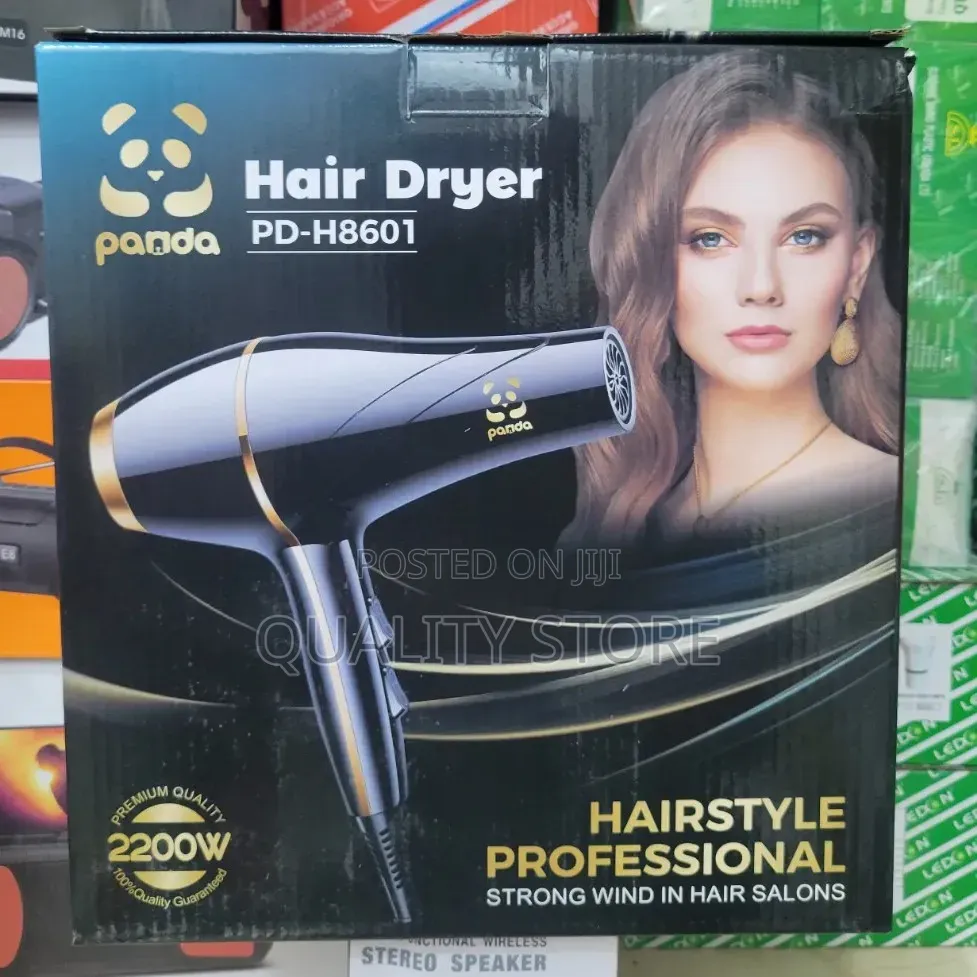 Professional Hair Dryer