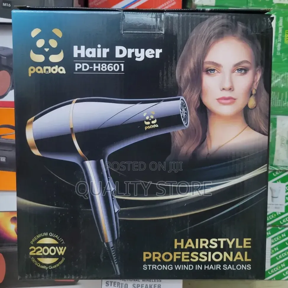 Professional Hair Dryer