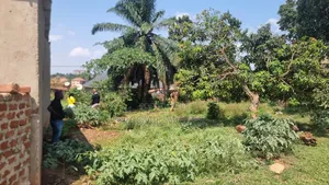 45 Decimals of Freehold Land – Prime Bweyogerere Location