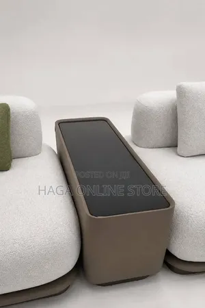 Elegant Small Living Sofa