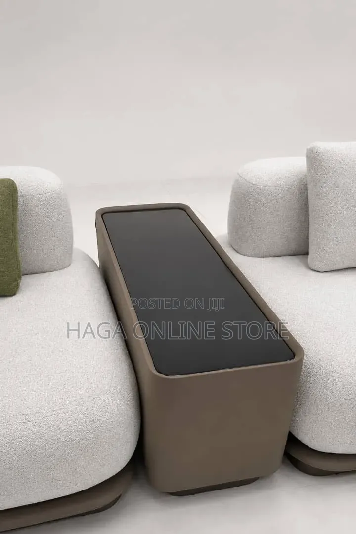 Elegant Small Living Sofa