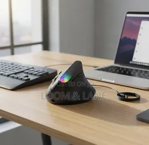 Weibo Ergonomic Vertical Wireless Mouse